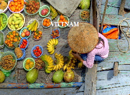 halong2